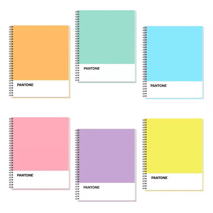 Pantone Cuaderno Universitario 100 Hojas